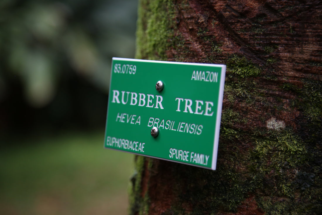 KidORCA Children Rain Boots Features