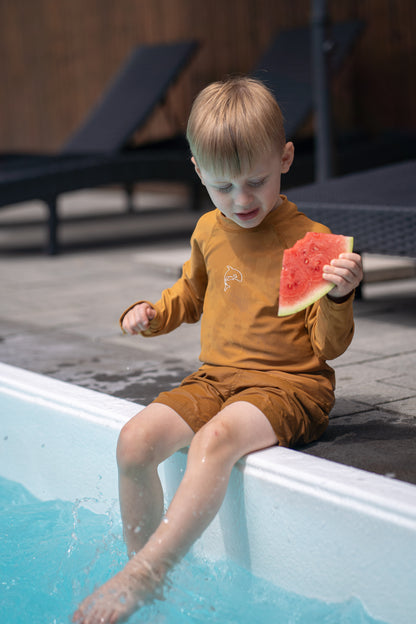Boys Swim Trunks – Ginger